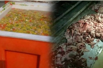 TQ: Một trường học cho trẻ ăn cám lợn, trứng thối, cà chua hỏng