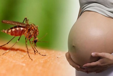 Thêm 2 trường hợp nhiễm virus Zika, Bộ Y tế lưu ý đặc biệt nhóm phụ nữ có thai