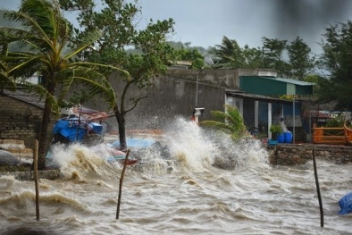 Tin bão mới nhất: Bão số 7 áp sát bờ biển từ Quảng Ninh- Nam Định