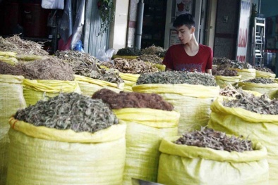 Dược liệu Trung Quốc: Vừa dùng vừa lo rước bệnh