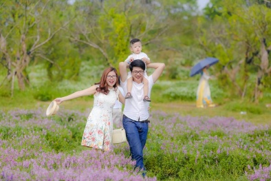 Mê mẩn cánh đồng hoa bao la với bầy cừu xinh xắn giữa lòng Hà Nội