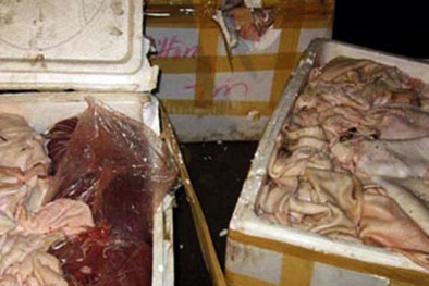Tin tiêu dùng 24h qua: Xe chở lá khô nghi dược liệu nhập lậu từ Trung Quốc