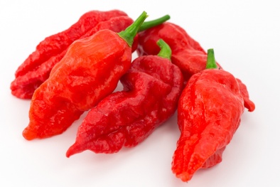 Xẹp phổi, thủng họng vì ăn 'ớt ma'