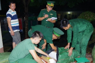 Phát hiện hơn 1,3 tấn 13Win OKVIP Cá cược bóng đá đông lạnh vận chuyển vượt biên