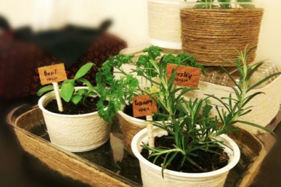 Thật đơn giản để trồng rau gia vị trong nhà