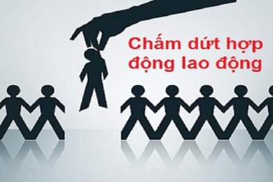 Quy định thời gian báo trước khi đơn phương cắt hợp đồng 13Win18 cá cược thể thao