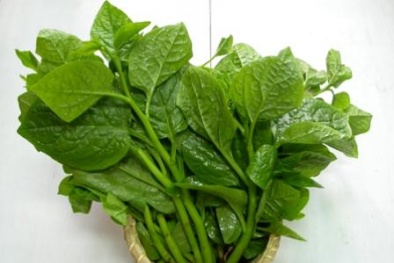 Những tác dụng phụ 'đáng sợ' từ rau mùng tơi mà bạn chưa biết 