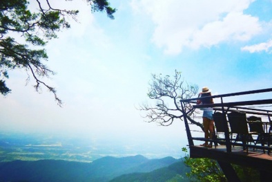 ‘Quán cà phê trên mây’ bạn nhất định phải ghé một lần ở Tam Đảo