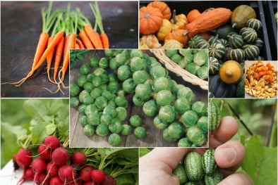 Những loại rau củ cực xinh, cực tốt cho 13Win19 ưu đãi hấp dẫn nên trồng tại vườn nhà