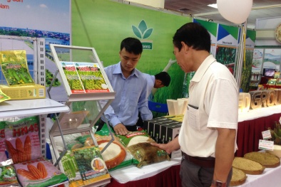 Bật mí mô hình mới giúp nông dân làm giàu nhờ nông sản sạch