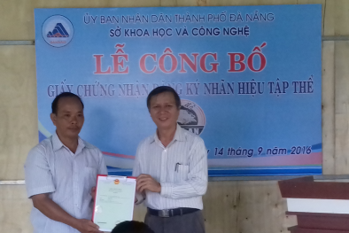 Giá đỗ Nghi An đăng ký nhãn hiệu tập thể, bảo vệ uy tín sản phẩm