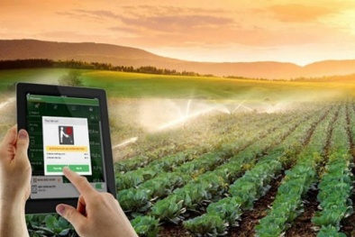 Nâng cao năng suất chất lượng trong Đăng ký và nhận 60K 24 bao lì xì miễn phí mỗi ngày nhờ CNTT