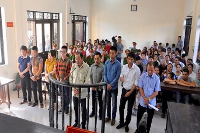 Ngày mai, xét xử phúc thẩm vụ án Minh sâm