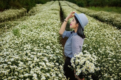 Những cách tạo dáng chụp ảnh tuyệt đẹp với cúc họa mi 