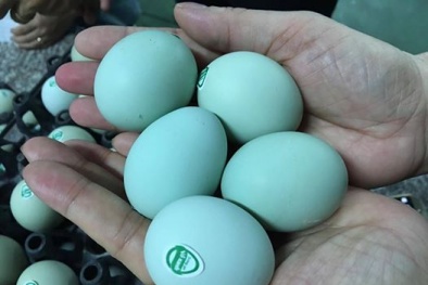 Gần Tết, mặt hàng nào đang tăng giá mạnh và được ưa chuộng?