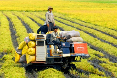 Dự kiến Thủ tướng sẽ chủ trì Hội nghị 'Xây dựng nền 13Win15 com - Thương hiệu nhà cái uy tín Đăng ký và nhận 60K 24 bao lì xì miễn phí mỗi ngày Việt Nam'