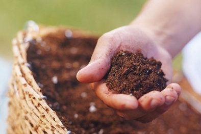 Nhiều sản phẩm phân bón sắp vào quy chuẩn kỹ thuật quốc gia