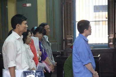 Tổng giám đốc Công ty Tài chính Cao su lĩnh án tù