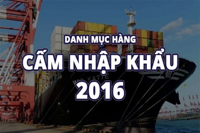 Mặt hàng nào thuộc danh mục hàng hóa cấm nhập khẩu?