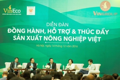  Vingroup ‘bắt tay’ với 250 hợp tác xã và hộ sản xuất nông sản sạch