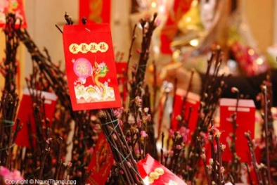 Xông đất đầu năm 2017: Tuổi nào đẹp cho gia chủ Giáp Tý?