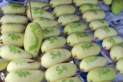 Trái cây 'độc' chơi Tết: Nửa triệu đồng mỗi trái xoài, đu đủ in chữ