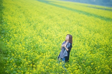 Những cánh đồng hoa gần Hà Nội là điểm đến lý tưởng dịp Tết Dương lịch 