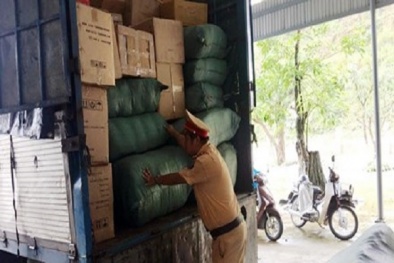 Bắt giữ xe biển số Lào chở gần 300kg đạn chì