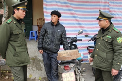 Vụ vận chuyển trái phép 2 cái thớt gỗ: Xử lý thế nào?