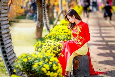 Dự báo thời tiết Tết Đinh Dậu 2017: Bắc Bộ trời nắng, ấm áp