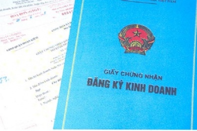 Giấy phép hộ kinh doanh không chính chủ có bị phạt không?