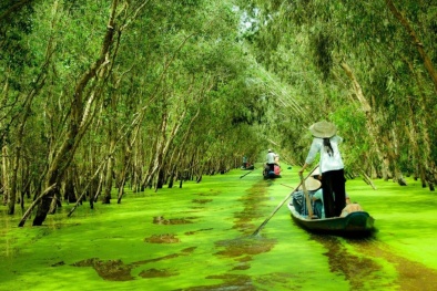 Những điểm du lịch đẹp ngất ngây tại miền Tây cho dịp Tết 