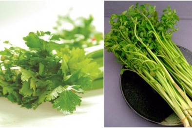 Công dụng chữa bệnh tuyệt vời từ loại rau quen thuộc vào dịp tết