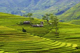 Khám phá vẻ đẹp vùng cao Tây Bắc những ngày đầu xuân
