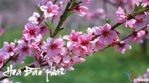 Những phong tục ngày tết đang có nguy cơ phai nhạt 