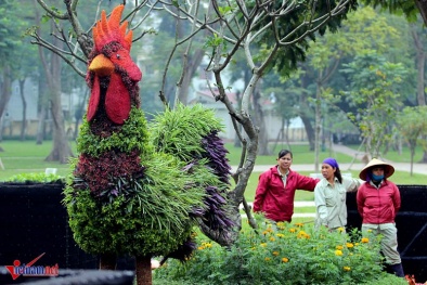 Muôn kiểu tạo hình độc, lạ đón Tết Đinh Dậu