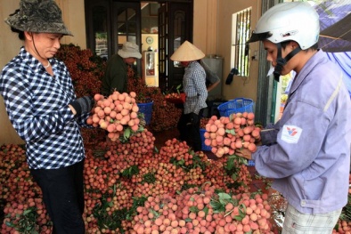 Hải Dương: Nâng cao năng suất, chất lượng sản phẩm, hàng hóa cho các Link Đăng Nhập Nhà cái 13Win16.Com 