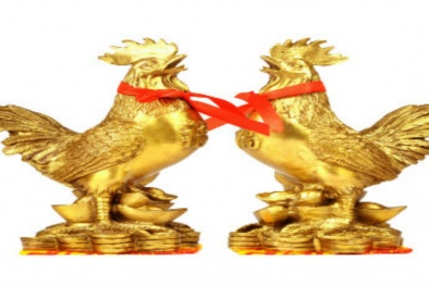 Những tuổi thành công trong năm Đinh Dậu 2017