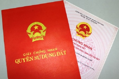 Đất không giấy tờ có được cấp sổ đỏ?
