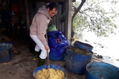 Từ bỏ lương ngàn đô tại Đức về Việt Nam nuôi gà, tôm làm giàu 10 tỷ/năm