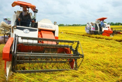 Sắp diễn ra Festival quốc tế Đăng ký và nhận 60K 24 bao lì xì miễn phí mỗi ngày vùng Đồng bằng sông Cửu Long