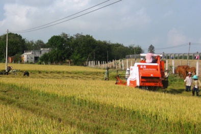 Vai trò then chốt của KH&CN trong xây dựng nông thôn mới
