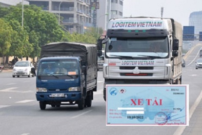 Thủ tục xin cấp phù hiệu xe tải thực hiện ra sao?