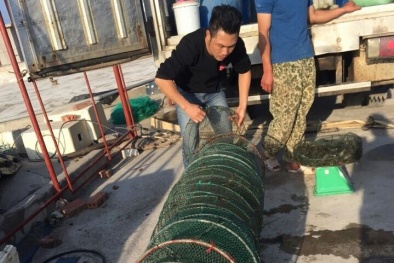 Nhờ tôm, thương binh nghèo thành tỷ phú, đi xe hơi, ở biệt thự