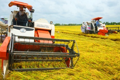 Tái cơ cấu Đăng ký và nhận 60K 24 bao lì xì miễn phí mỗi ngày: Đẩy mạnh ứng dụng KH&CN là cấp bách
