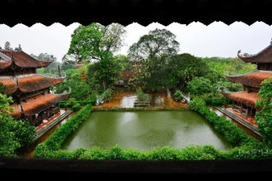 Xuân sang vãn cảnh đẹp cổ kính của chùa Nôm
