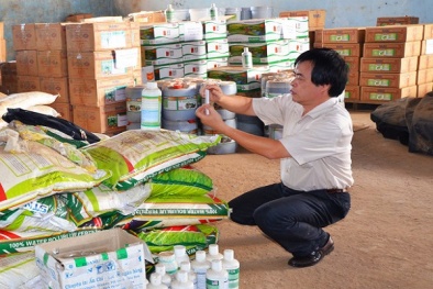 Mở đợt cao điểm kiểm tra sản xuất, gia công phân bón vô cơ 