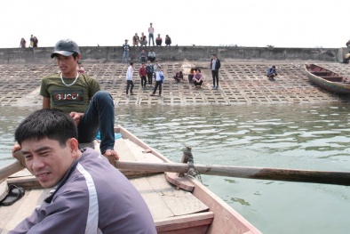Hàng trăm người đổ xô đi xem cá sủ vàng trị giá 900 triệu