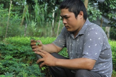 Thạc sĩ tật nguyền làm giàu từ vườn ươm thu 3 tỷ đồng/năm