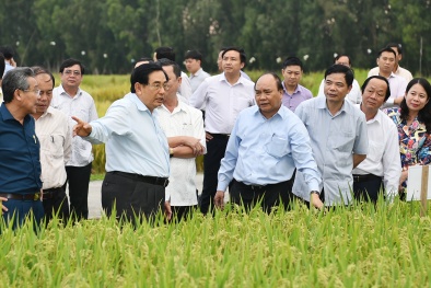 Thủ tướng đánh giá cao mô hình 3 cùng của Tập đoàn Lộc Trời